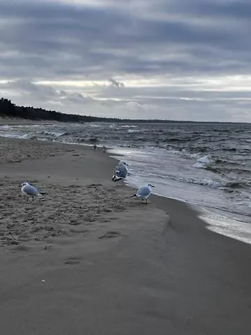 Apartment Premium Apartament Z Basenem, Kasprowicza 20B Kolobrzeg 450M Do Plazy, Parking, Silownia *